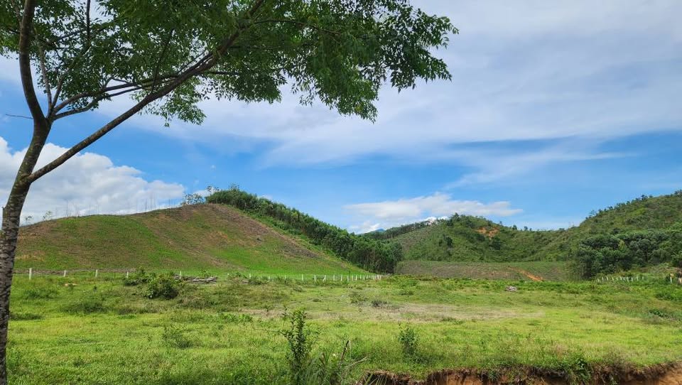 Đất vườn 1 hecta bằng phẳng đồi chè Đông Giang
