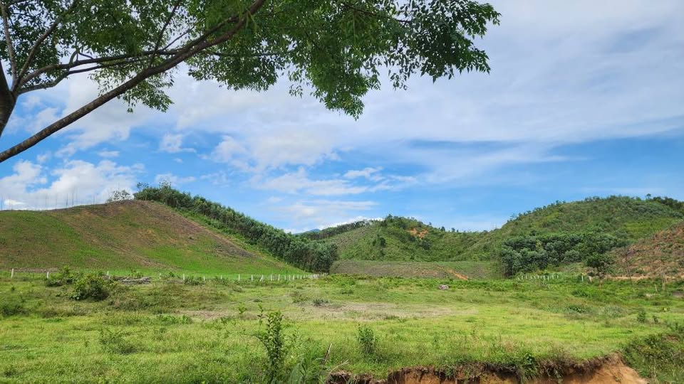 Đất vườn 1 hecta bằng phẳng đồi chè Đông Giang
