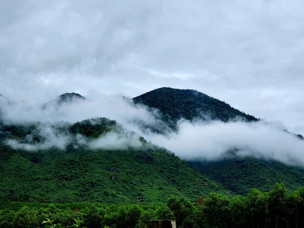 Đất đồi Đông Giang