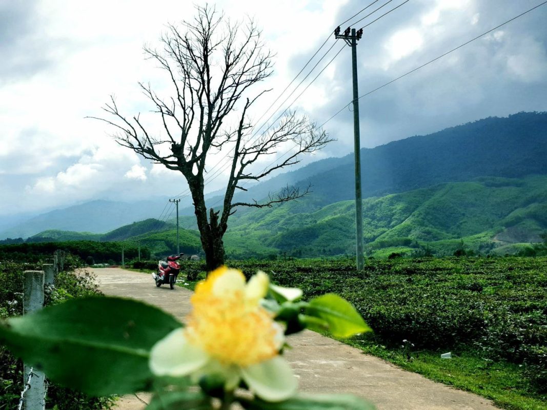 Đất vườn Đông Giang