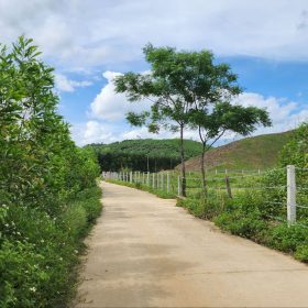 Lô đất khách hàng cơ trưởng