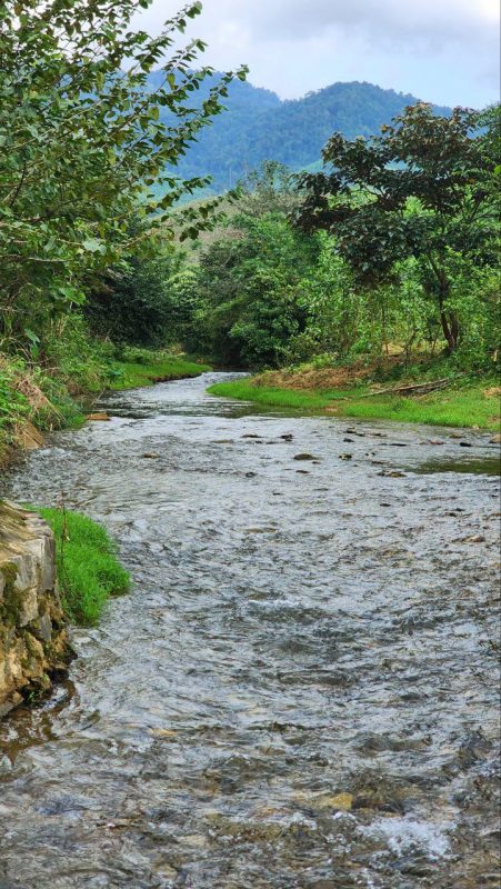 Đất vườn Đông Giang giáp suối